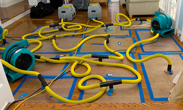 Professional Water Damage Restoration technician working in Cuney, TX